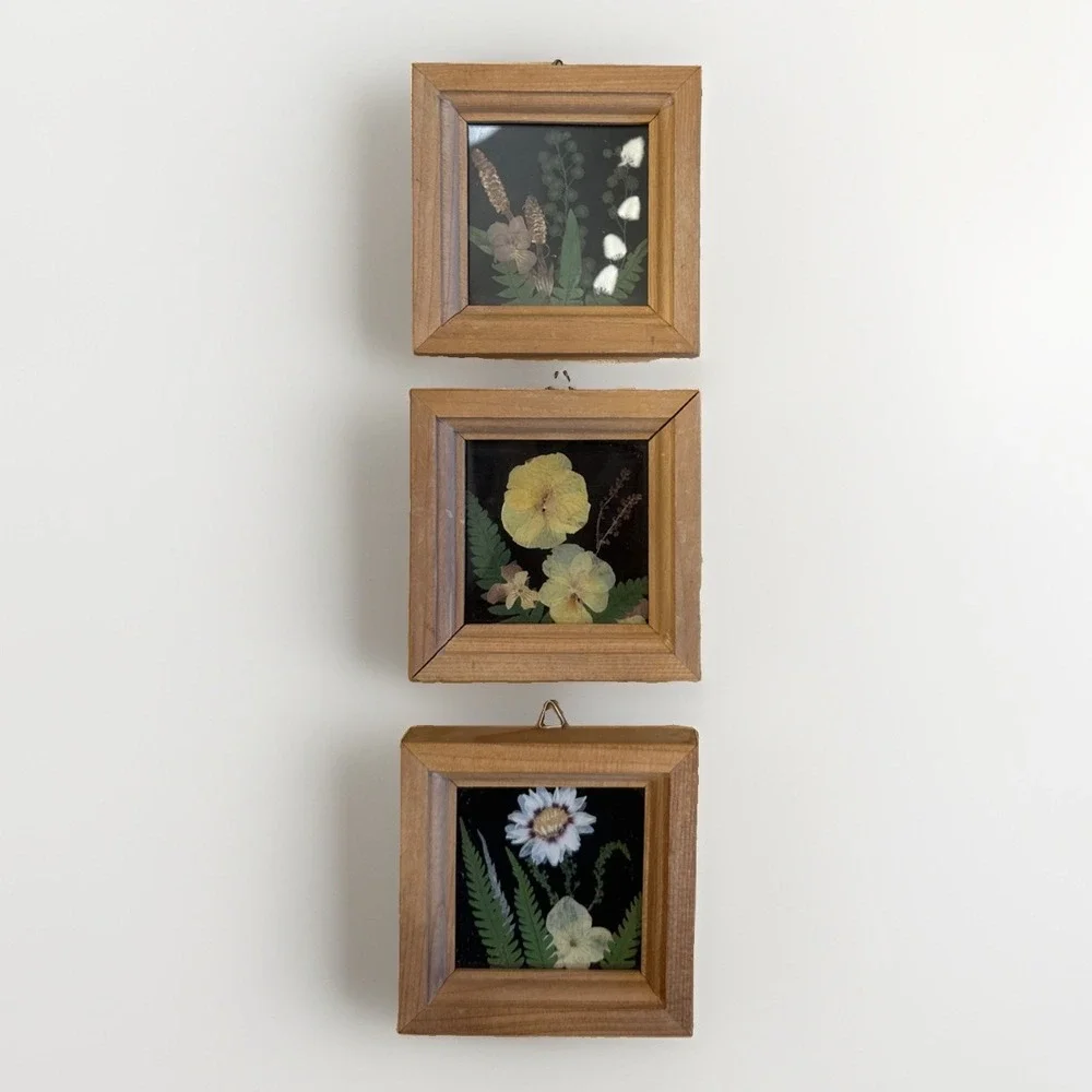 Vintage Dried Pressed Flowers Art Black Ornate Wall Hanging Frame Set Of 3 Japan